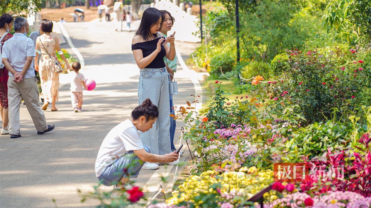 广东麻将推倒胡游戏